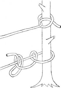 halfhitch
