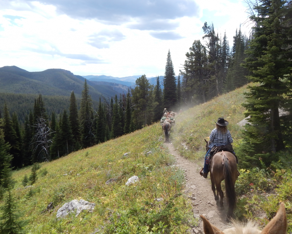 Packing into Montana’s Bob Marshall Wilderness - TrailMeister