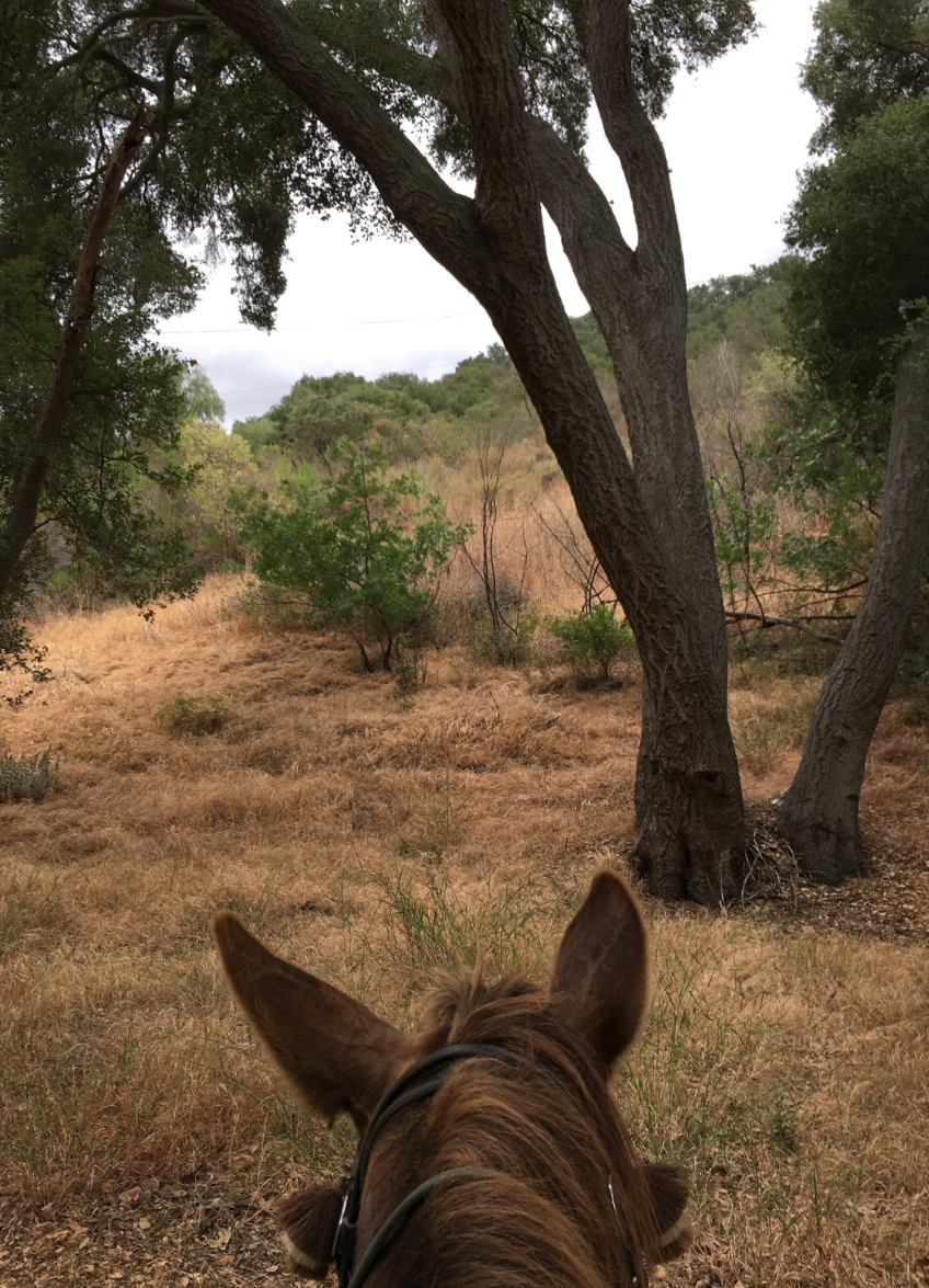 Santa Rosa Valley Park - TrailMeister