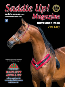 saddle up magazine cover