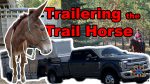 trailering the trail horse