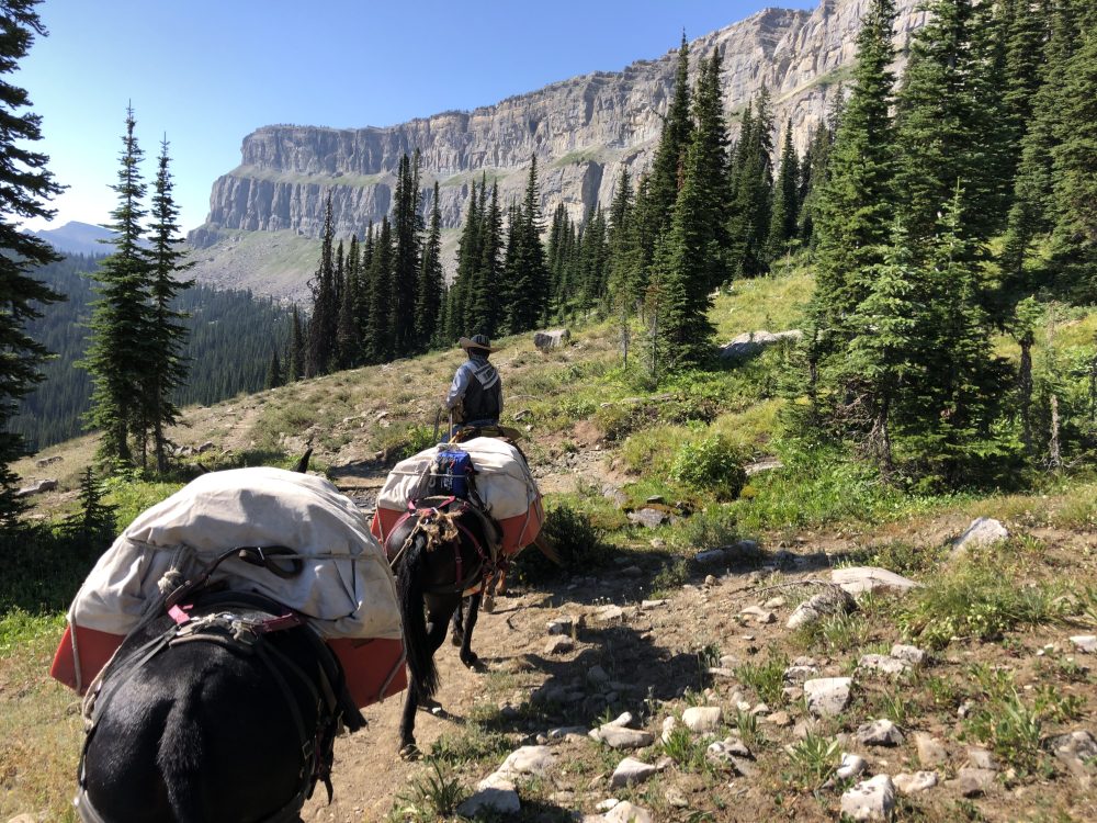 Horse Camping in the Bob